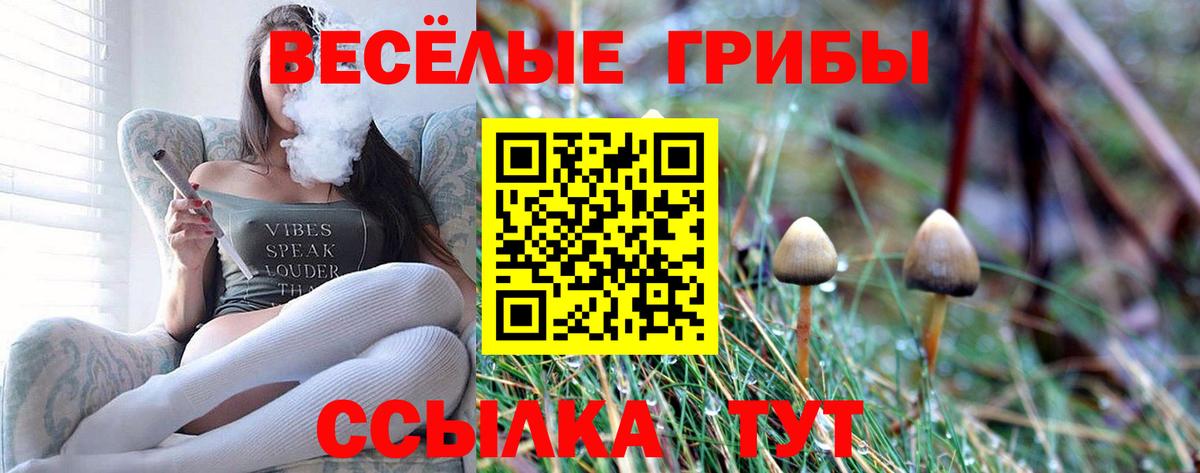 Галлюциногенные грибы прущие грибы Малгобек